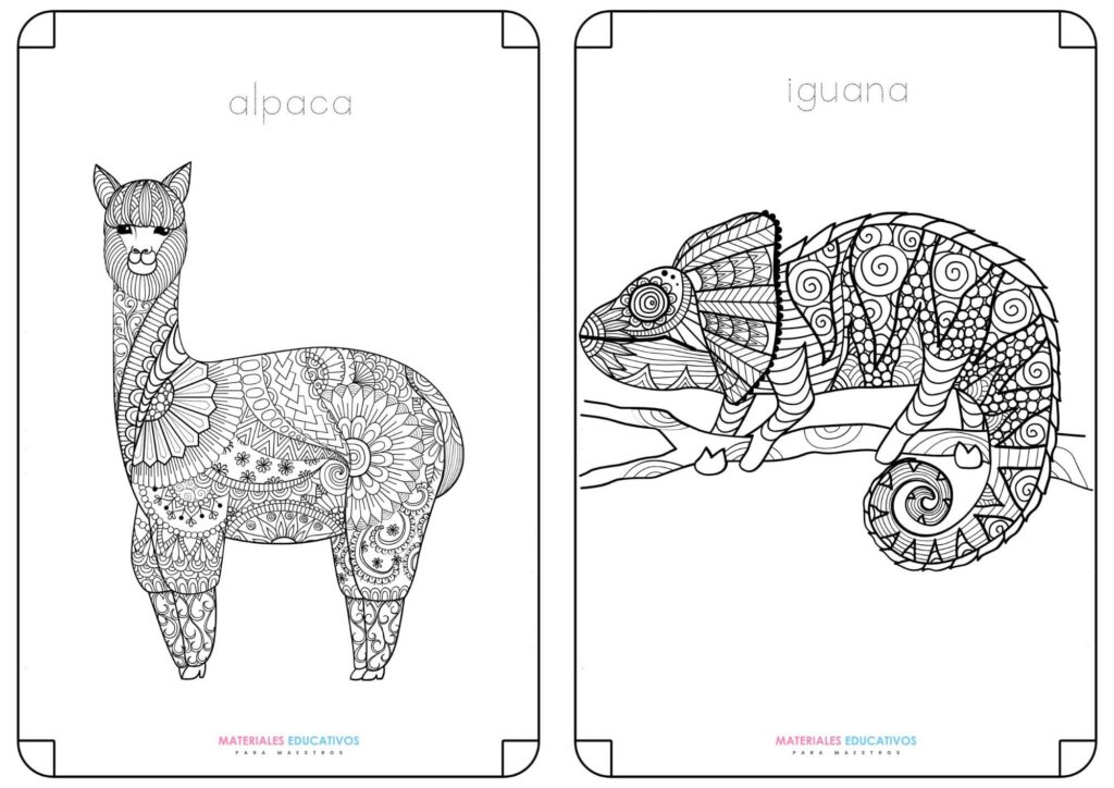 mandala de alpaca e iguana para pintar