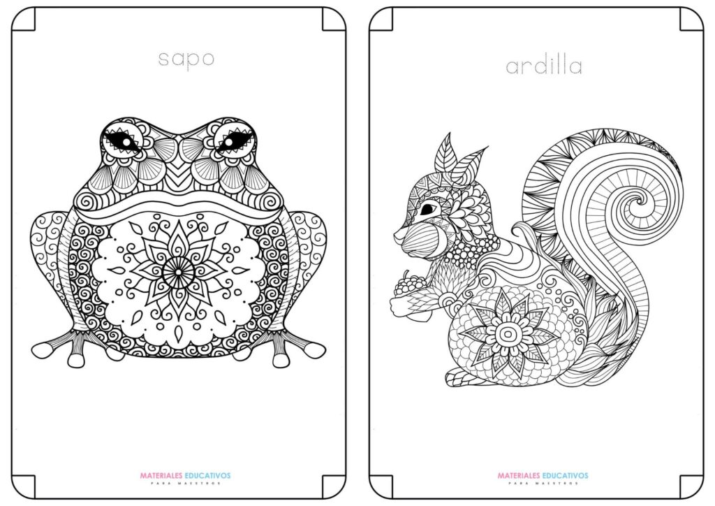 mandala de sapo para pintar